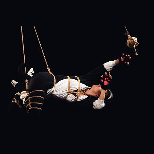 Künstlerisches Fesseln mit Katzen Onesie – Shibari Fotografie Schweiz