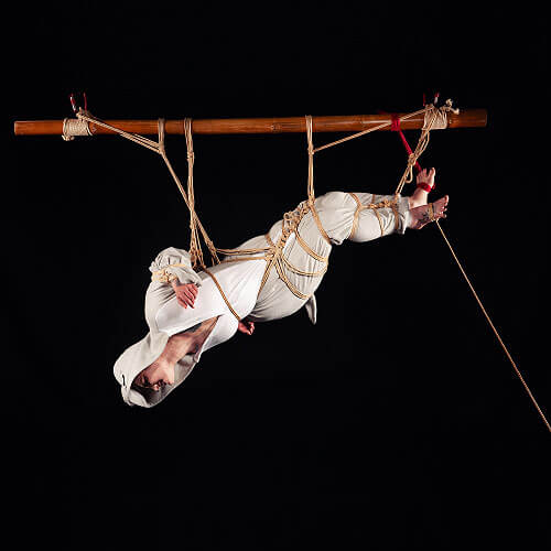 Shibari Fotografie mit Robben Onesie und kreativer Seilkunst