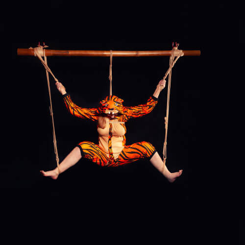 Tiger Onesie im kreativen Shibari Shooting – Bondage Fotografie